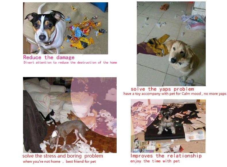 Mainan Gigit Anjing Model Sayuran Red JakartaNotebook com Mainan Gigit Anjing Model Sayuran Red JakartaNotebook com